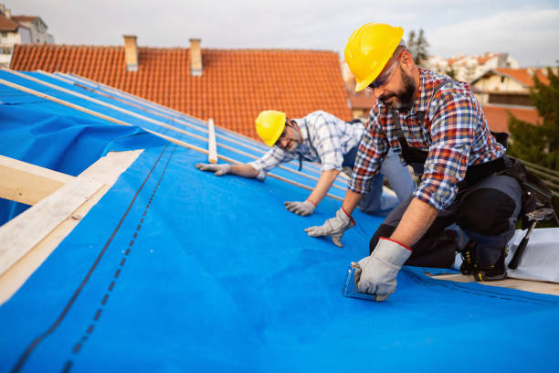 Best Green or Eco-Friendly Roofing Solutions  in Manito, IL